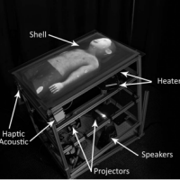 Physical-Virtual Patient: A new patient simulator