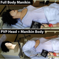 Neurological Assessment Using a Physical-Virtual Patient (PVP).