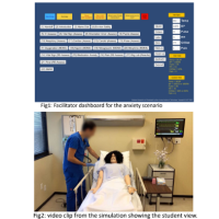 Interactive Video Simulation: A Remote Solution